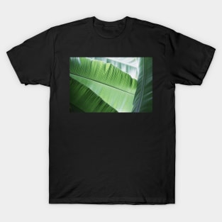 Framework T-Shirt